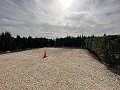 Private Campsite with a 4 Bed House in Pinoso. in Alicante Dream Homes API 1122