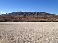 Private Campsite with a 4 Bed House in Pinoso. in Alicante Dream Homes API 1122