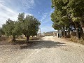 Private Campsite with a 4 Bed House in Pinoso. in Alicante Dream Homes API 1122