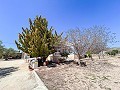 Prachtige villa met 4 slaapkamers en 2 badkamers in Alicante Dream Homes API 1122