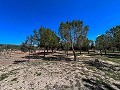 Prachtige villa met 4 slaapkamers en 2 badkamers in Alicante Dream Homes API 1122