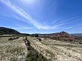 Beautiful Exclusive Semi-Detached Villa in Loma Badá , Petrer in Alicante Dream Homes API 1122