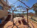 Beautiful Exclusive Semi-Detached Villa in Loma Badá , Petrer in Alicante Dream Homes API 1122