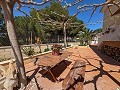 Beautiful Exclusive Semi-Detached Villa in Loma Badá , Petrer in Alicante Dream Homes API 1122