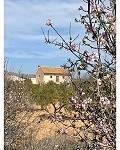 Belle maison de campagne de 5 chambres et 4/5 salles de bain à Raspay. in Alicante Dream Homes API 1122
