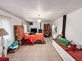Maison de campagne confortable avec piscine à Sax in Alicante Dream Homes API 1122