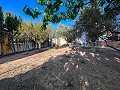 Wonderful 4-bedroom country house in Monforte del Cid in Alicante Dream Homes API 1122
