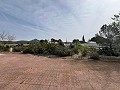 Landhaus in Sax in Alicante Dream Homes API 1122