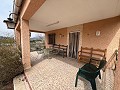 Landhaus in Sax in Alicante Dream Homes API 1122
