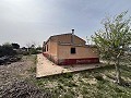 Landhaus in Sax in Alicante Dream Homes API 1122