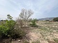 Landhaus in Sax in Alicante Dream Homes API 1122