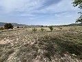 Landhaus in Sax in Alicante Dream Homes API 1122