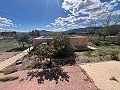 Landhaus in Sax in Alicante Dream Homes API 1122