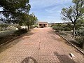 Landhaus in Sax in Alicante Dream Homes API 1122