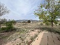 Landhaus in Sax in Alicante Dream Homes API 1122