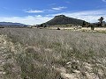 Prachtig stuk grond tussen La Romana en Hondon de las Nieves. in Alicante Dream Homes API 1122