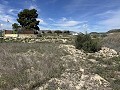 Prachtig stuk grond tussen La Romana en Hondon de las Nieves. in Alicante Dream Homes API 1122