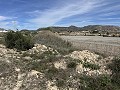 Prachtig stuk grond tussen La Romana en Hondon de las Nieves. in Alicante Dream Homes API 1122
