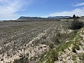 Prachtig stuk grond tussen La Romana en Hondon de las Nieves. in Alicante Dream Homes API 1122