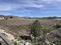 Prachtig stuk grond tussen La Romana en Hondon de las Nieves. in Alicante Dream Homes API 1122
