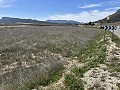 Prachtig stuk grond tussen La Romana en Hondon de las Nieves. in Alicante Dream Homes API 1122