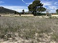 Prachtig stuk grond tussen La Romana en Hondon de las Nieves. in Alicante Dream Homes API 1122