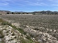 Prachtig stuk grond tussen La Romana en Hondon de las Nieves. in Alicante Dream Homes API 1122