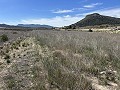 Prachtig stuk grond tussen La Romana en Hondon de las Nieves. in Alicante Dream Homes API 1122