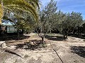 Finca mit 2 Schlafzimmern und 1 Bad zum Verkauf in La Romana. in Alicante Dream Homes API 1122