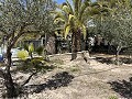 Finca mit 2 Schlafzimmern und 1 Bad zum Verkauf in La Romana. in Alicante Dream Homes API 1122