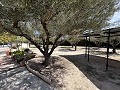 Finca mit 2 Schlafzimmern und 1 Bad zum Verkauf in La Romana. in Alicante Dream Homes API 1122