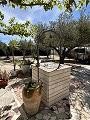 Finca mit 2 Schlafzimmern und 1 Bad zum Verkauf in La Romana. in Alicante Dream Homes API 1122