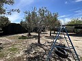 Finca mit 2 Schlafzimmern und 1 Bad zum Verkauf in La Romana. in Alicante Dream Homes API 1122