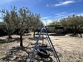 Finca mit 2 Schlafzimmern und 1 Bad zum Verkauf in La Romana. in Alicante Dream Homes API 1122
