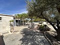 Finca mit 2 Schlafzimmern und 1 Bad zum Verkauf in La Romana. in Alicante Dream Homes API 1122