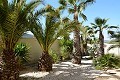 Mooie villa met 3 slaapkamers en 3 badkamers in Hondon de las Nieves. in Alicante Dream Homes API 1122