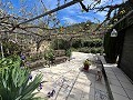 Hübsches Landhaus in Alicante Dream Homes API 1122
