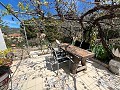 Hübsches Landhaus in Alicante Dream Homes API 1122