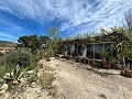 Hübsches Landhaus in Alicante Dream Homes API 1122