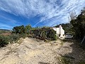 Hübsches Landhaus in Alicante Dream Homes API 1122