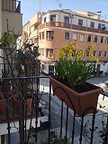 4 Schlafzimmer, 2-stöckiges Stadthaus in Ayora in Alicante Dream Homes API 1122