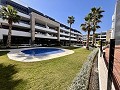 Penthouse de 2 chambres à Playa Flamenca in Alicante Dream Homes API 1122