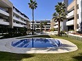 Penthouse de 2 chambres à Playa Flamenca in Alicante Dream Homes API 1122