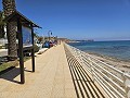Villa met 3 slaapkamers in Dehesa De Campoamor in Alicante Dream Homes API 1122
