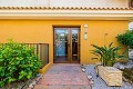 2 bedroom Apartment in Punta Prima in Alicante Dream Homes API 1122