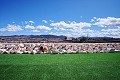 Beautiful 4 Bedroom 3 Bathroom Villa in Pinoso.(Fixed price) in Alicante Dream Homes API 1122