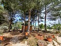 Belle villa de 5 chambres et 1 salle de bain près de la ville de Sax in Alicante Dream Homes API 1122