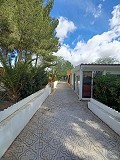 Belle villa de 5 chambres et 1 salle de bain près de la ville de Sax in Alicante Dream Homes API 1122