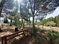 Belle villa de 5 chambres et 1 salle de bain près de la ville de Sax in Alicante Dream Homes API 1122