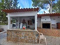 Belle villa de 5 chambres et 1 salle de bain près de la ville de Sax in Alicante Dream Homes API 1122